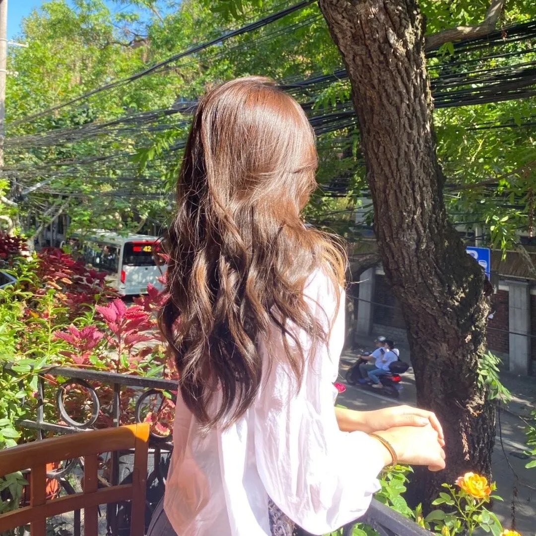 枯木逢春